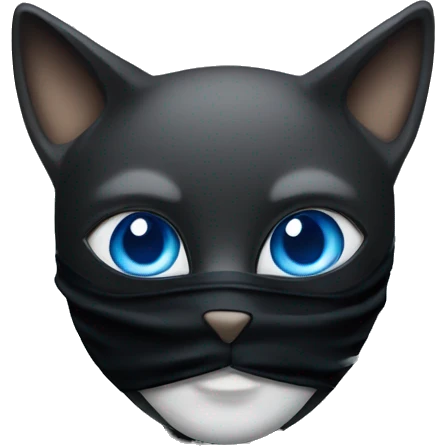A cat wearing a black mask with 2 blue eyes emoji