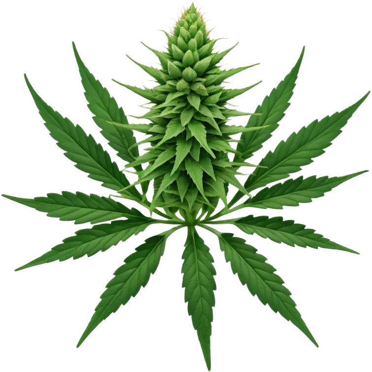 cannabis bud emoji
