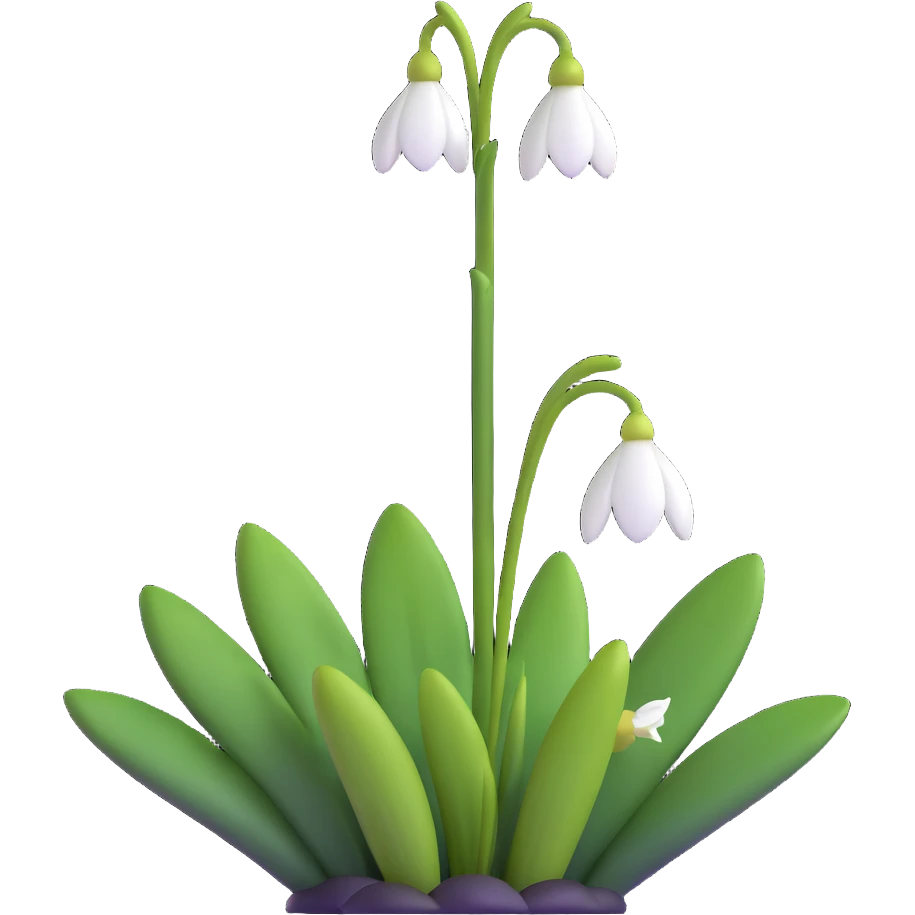 snowdrop flower emoji