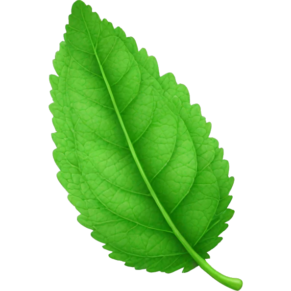 mint leaf emoji