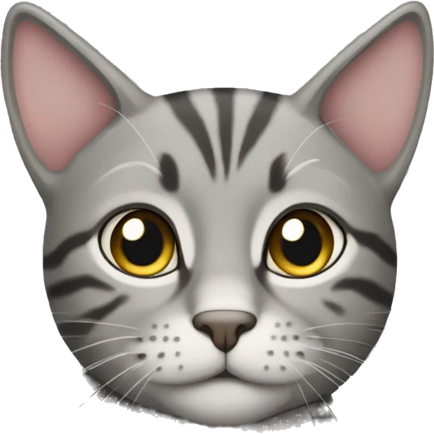 Grey tabby cat emoji