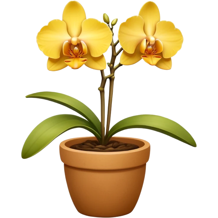 yellow Orchid in a clay pot emoji