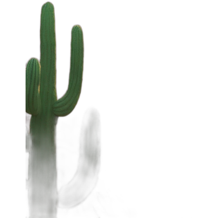 letters CKO and in the background a cactus and a rising sun emoji