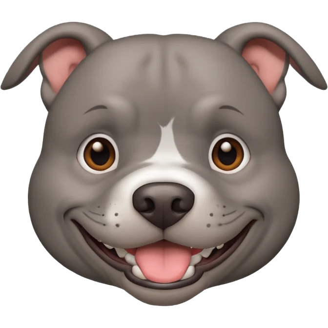 Large solid grey pitbull with an adorable face smiling  emoji