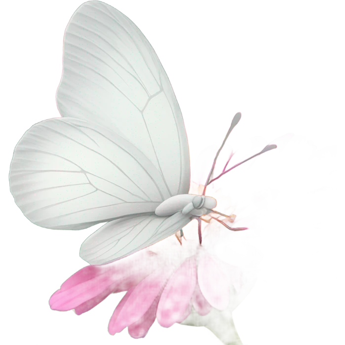 white butterfly on a pink flower emoji
