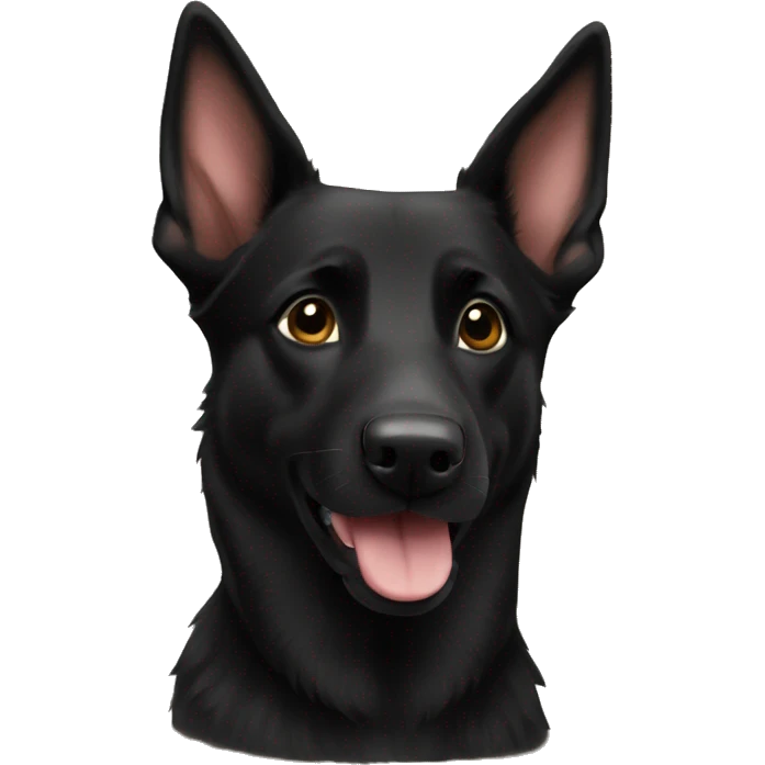 Black kelpie german shepherd mix emoji