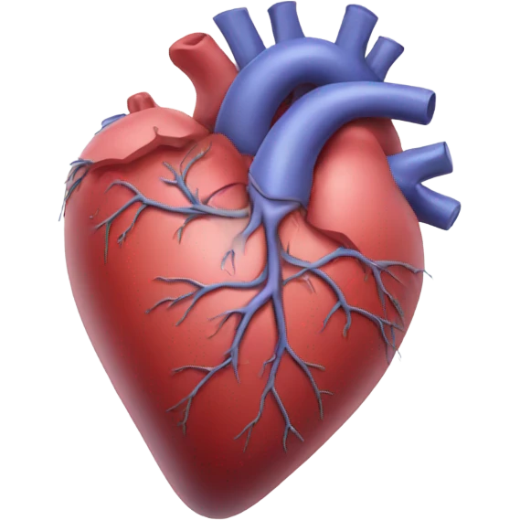 Heart anatomy emoji