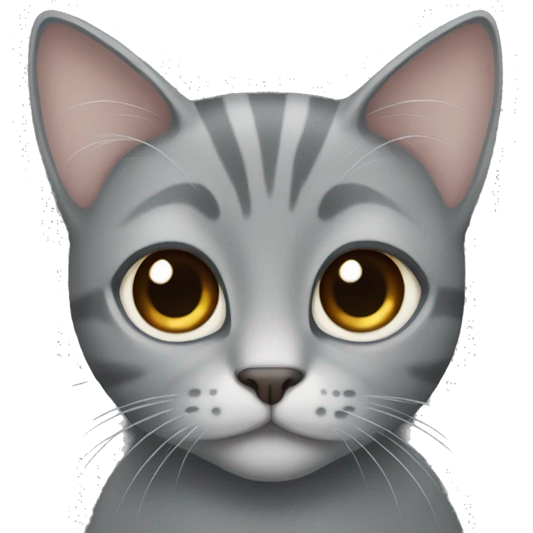 gray cat with brown eyes emoji