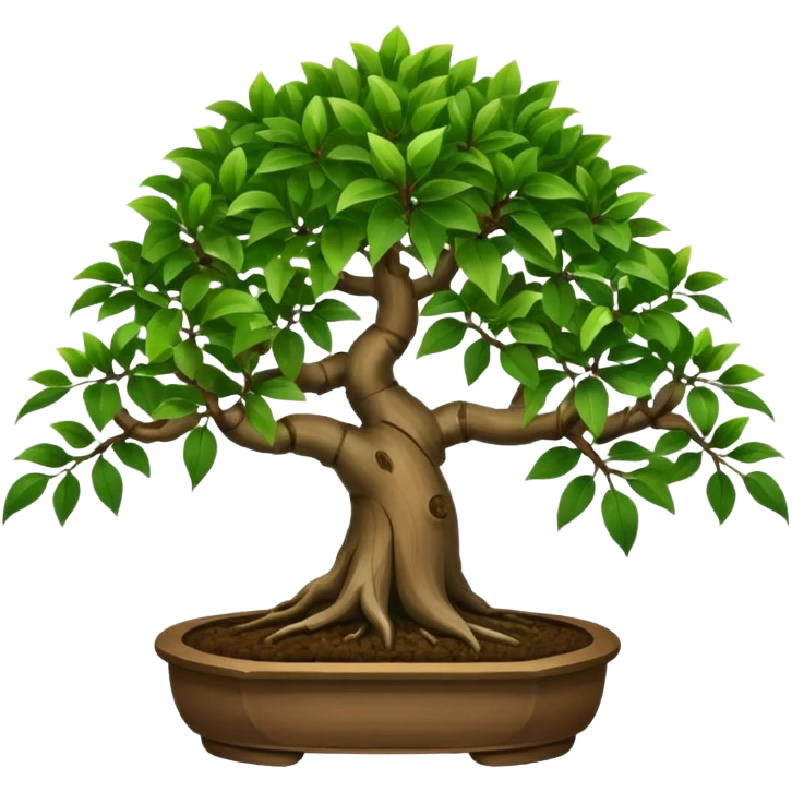 bonsai tree ficus with 8 brances of leaves emoji