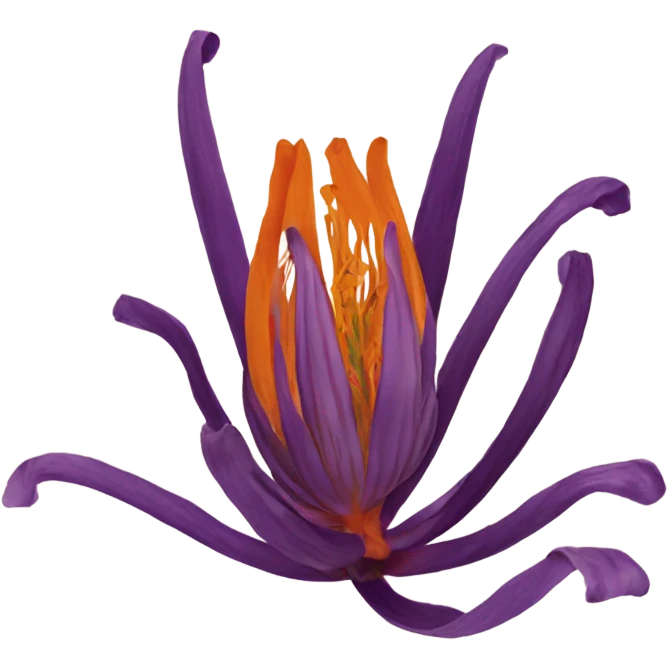 kashmir saffron emoji