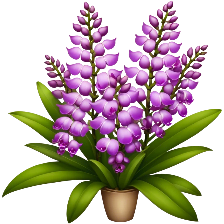 super big bouquet Rhynchostylis Orchid, stem, leaf emoji