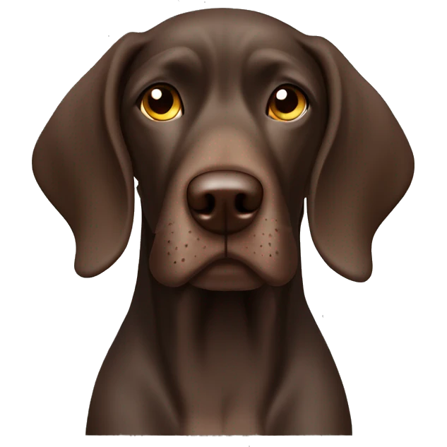 Brown German short haired pointer  with ticking looking sleepy emoji
