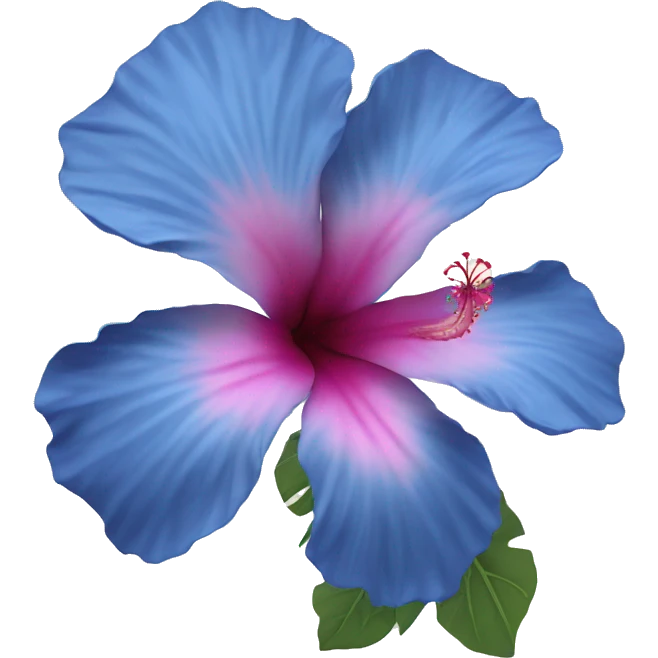 Blue hibiscus flower with some pink part emoji