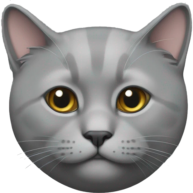 British cat grey  emoji