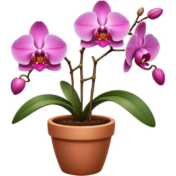 pink Orchid in a clay pot emoji