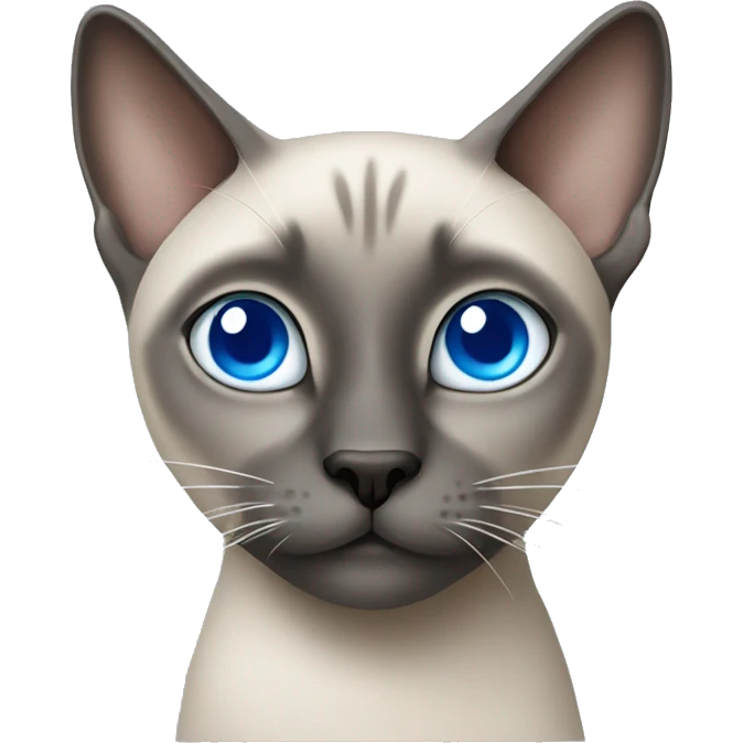 Grey Siamese cat with blue eyes emoji