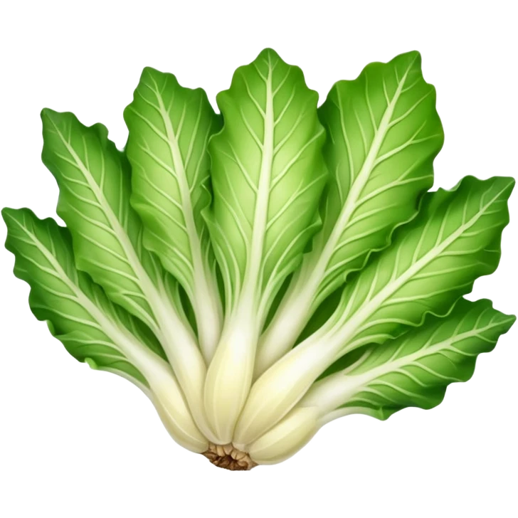 green blegian endive radicchio emoji