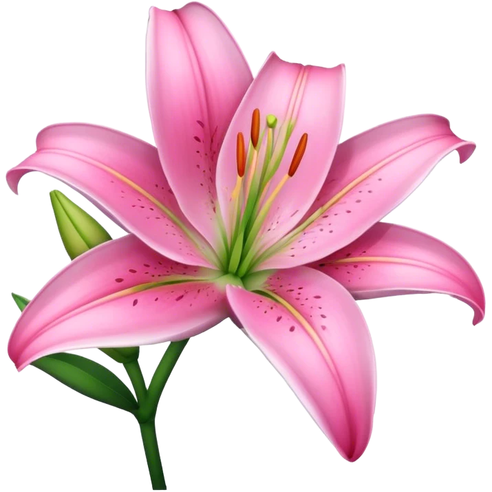 pink lily emoji