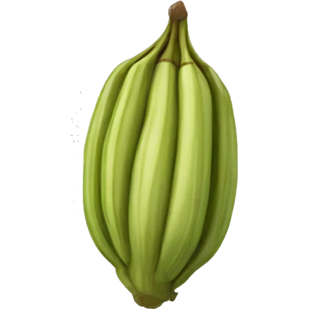 cardamom emoji