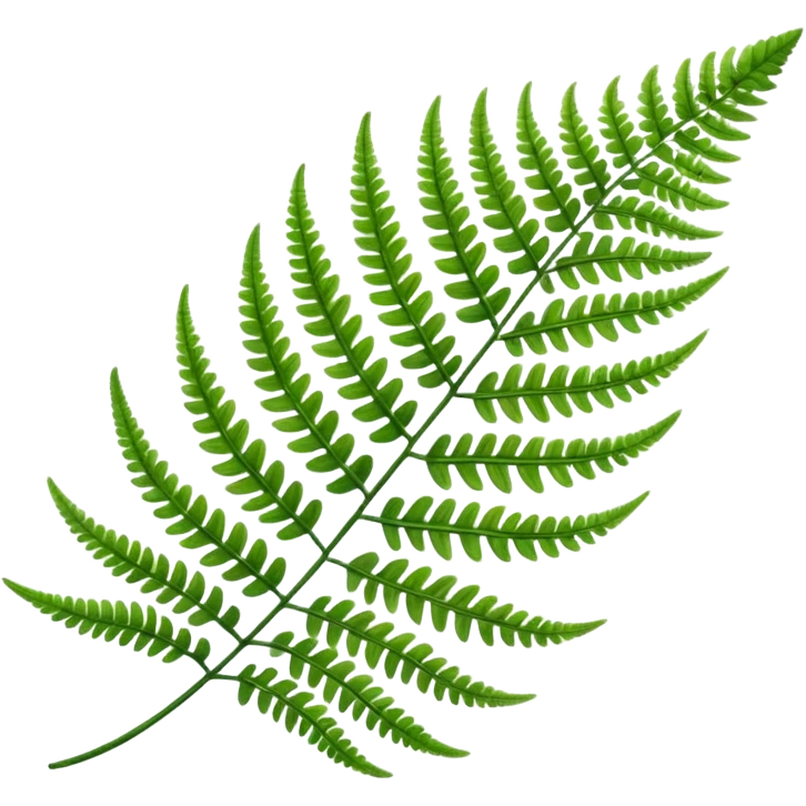Fern leave emoji