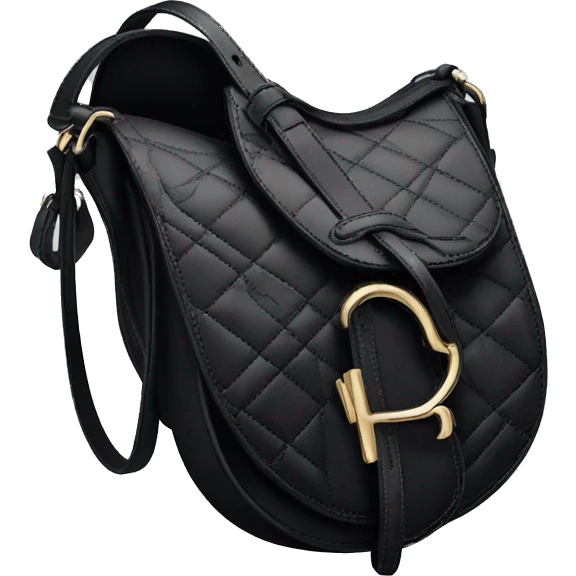 dior black saddle bag  emoji