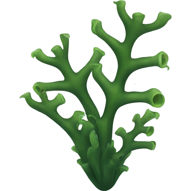 Kelp  emoji