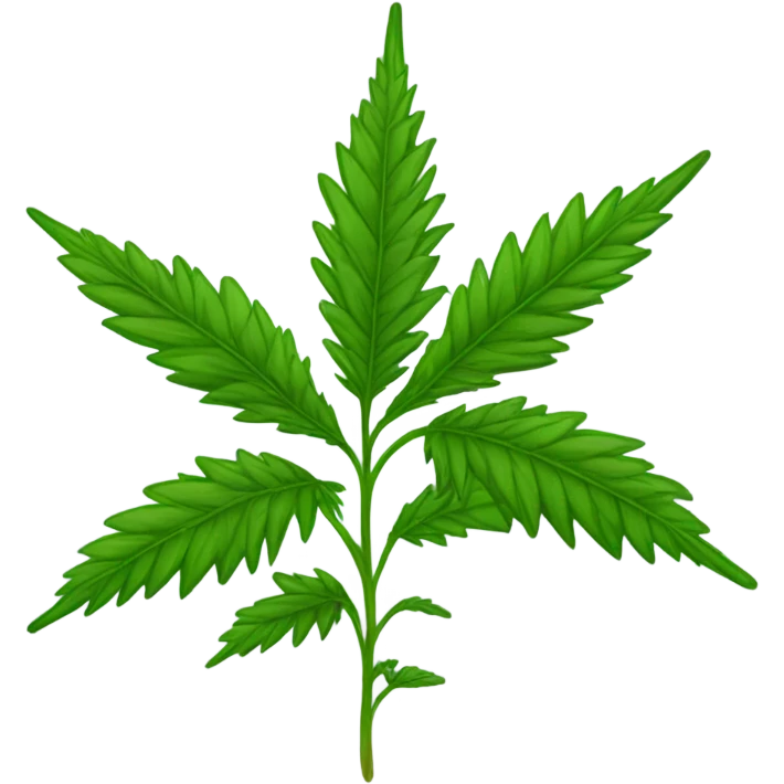 Marijuana plant  emoji