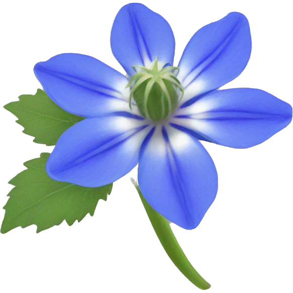 borage flower emoji