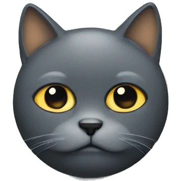 Sad Ccat emoji