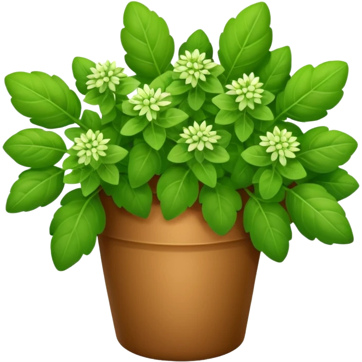 oregano herb bouquet emoji