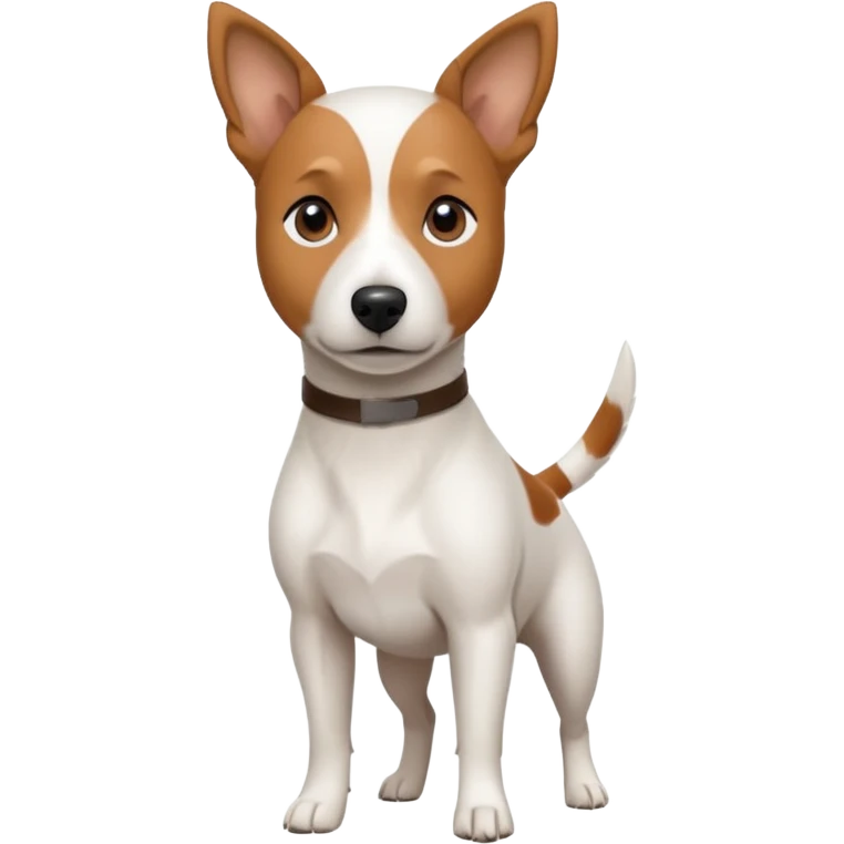 a fully white jack russell the size of a kelpie with a half white face emoji