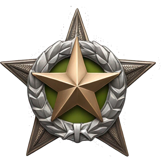 Bronze military badge with a silver star and a wreathe emoji