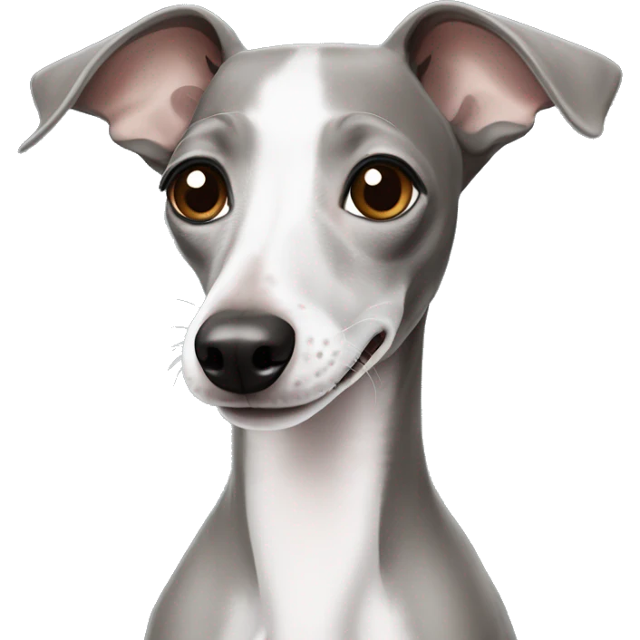 smiling italian greyhound with half-grey half-white fce emoji