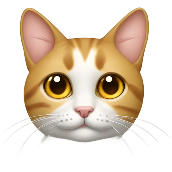 Gato com tapa olho  emoji