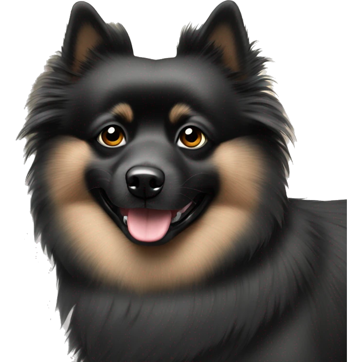 Full black German Spitz with black eyes emoji