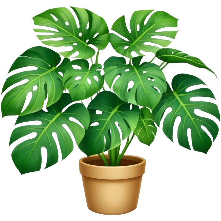 Monstera Plant emoji