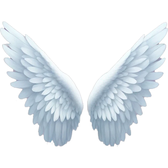 Angel wings  emoji