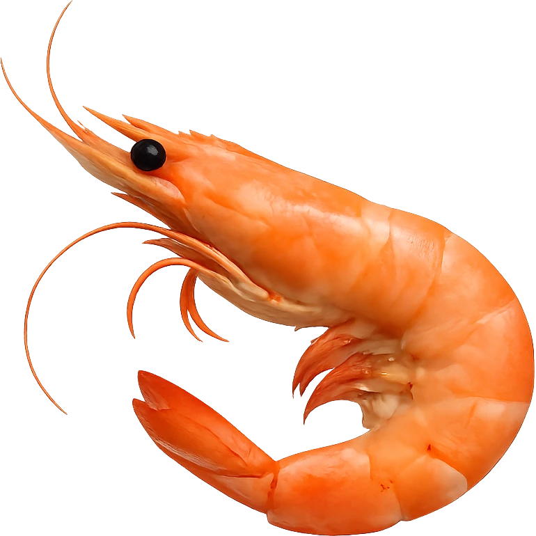 Shrimp emoji