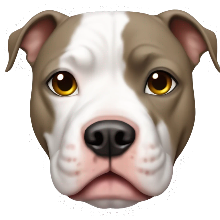 Scar white pitbull  emoji