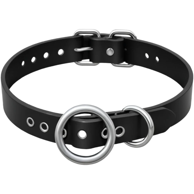 Collar – black leather with silver O-ring. emoji