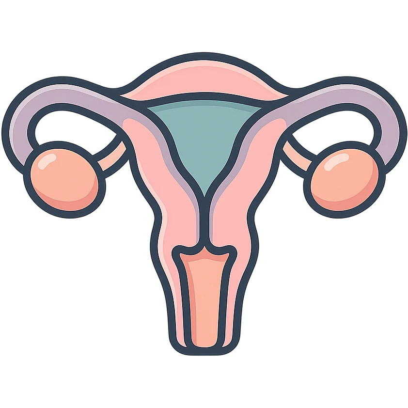 female uterus, icon-color-outlined style, detailed shadows and highlights, thin clean contours, soft rounded shapes, pastel palette #98B5BC, #B5B3C1, #C9A3C9, #E4C0CA, #F7DCD1, #F7C0AA, modern Japanese pop art and sticker aesthetic, soft lighting, transparent background emoji