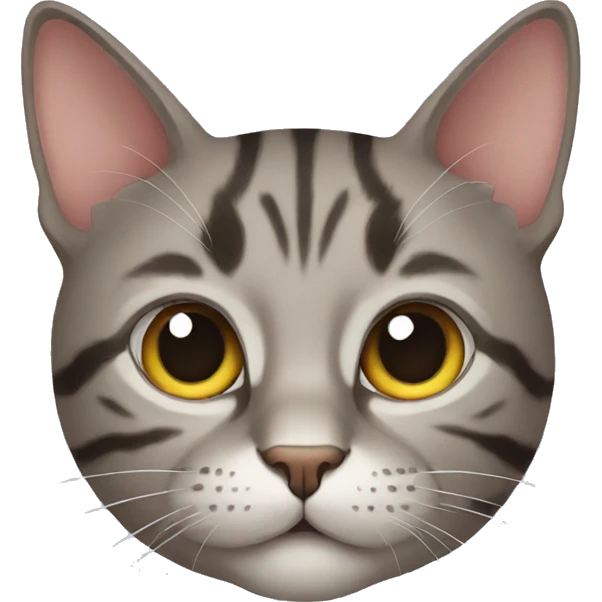 Cat emoji