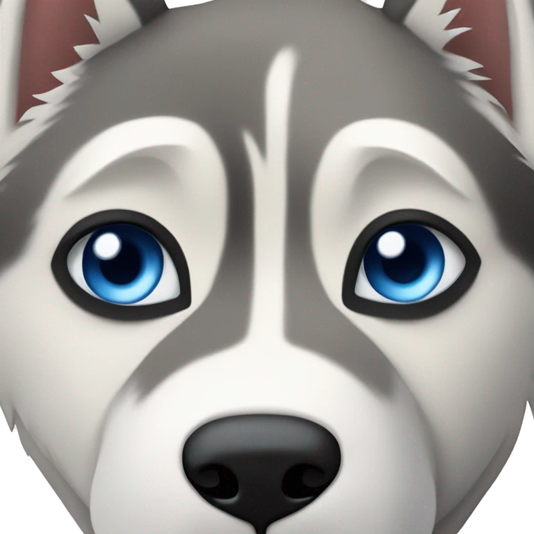 Husky con ojos azul y antifaz negro al rededor emoji