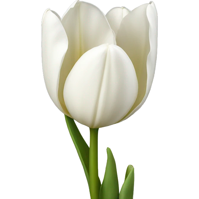 White Tulips with stem emoji