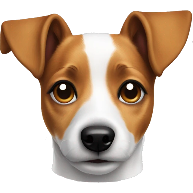 Jack Russell with one ear up and one ear down emoji