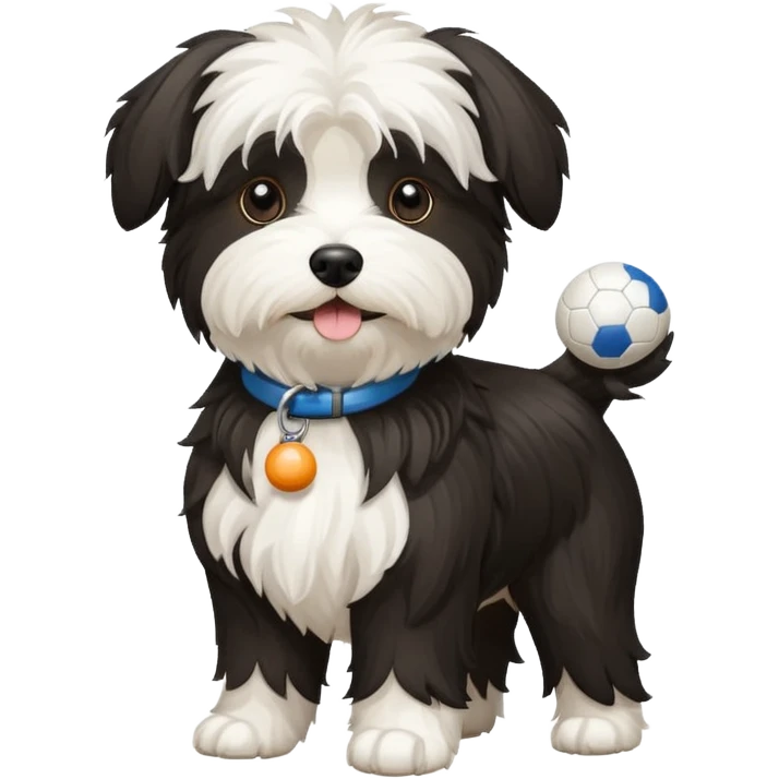 mostly white & black Havenese dog standing with ball emoji