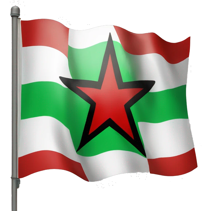 flag with green,white,red and a black star in the middle emoji