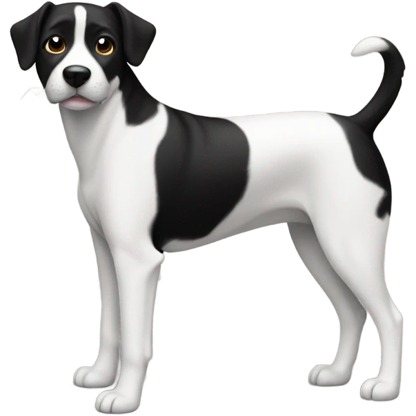 A black and white dog emoji