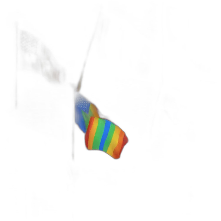 Flag rainbow emoji