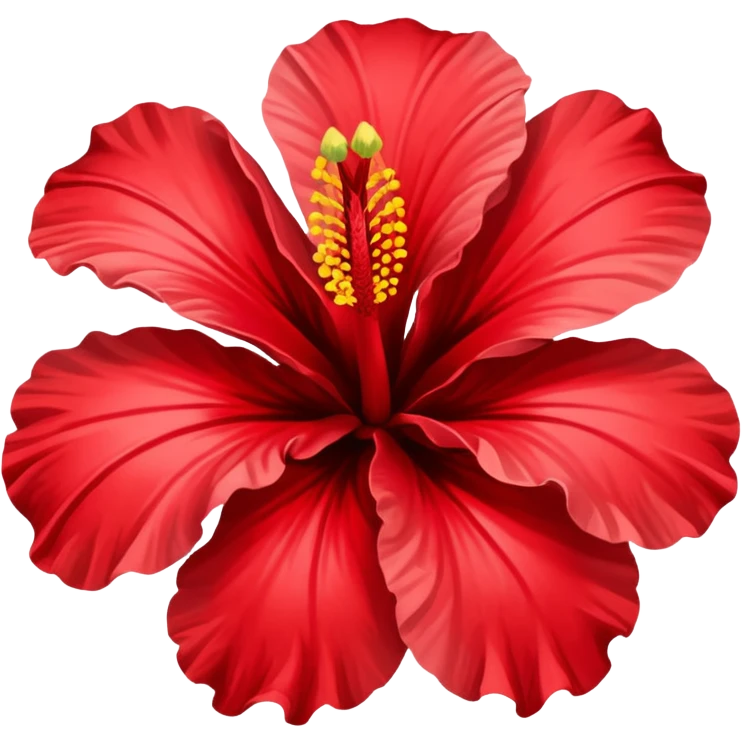 Hibiscus flowers ￼ emoji